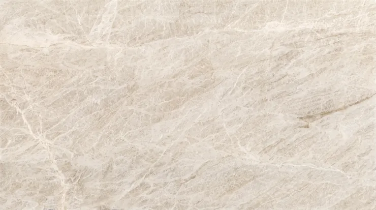 Taj Mahal HMS0013 — HMS0013 · Texture reference