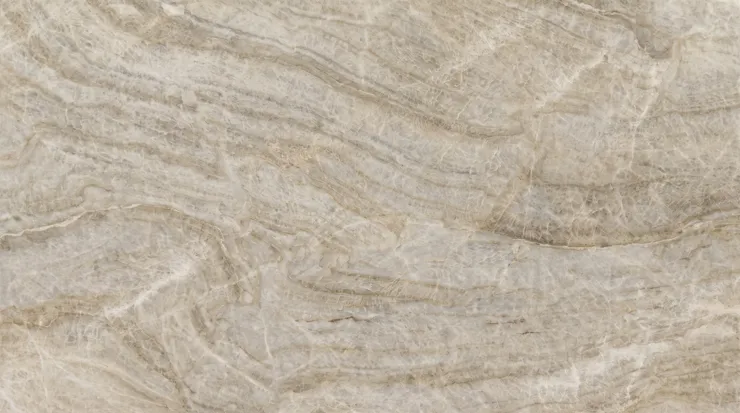 Taj Mahal LMS0065 — LMS0065 · Texture reference