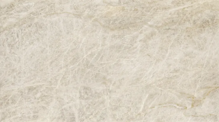 Taj Mahal HMS0008 — HMS0008 · Texture reference